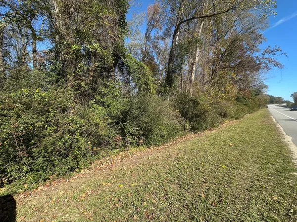 $29,950 | 0 Five Five Chop Road, Cameron, SC 29030