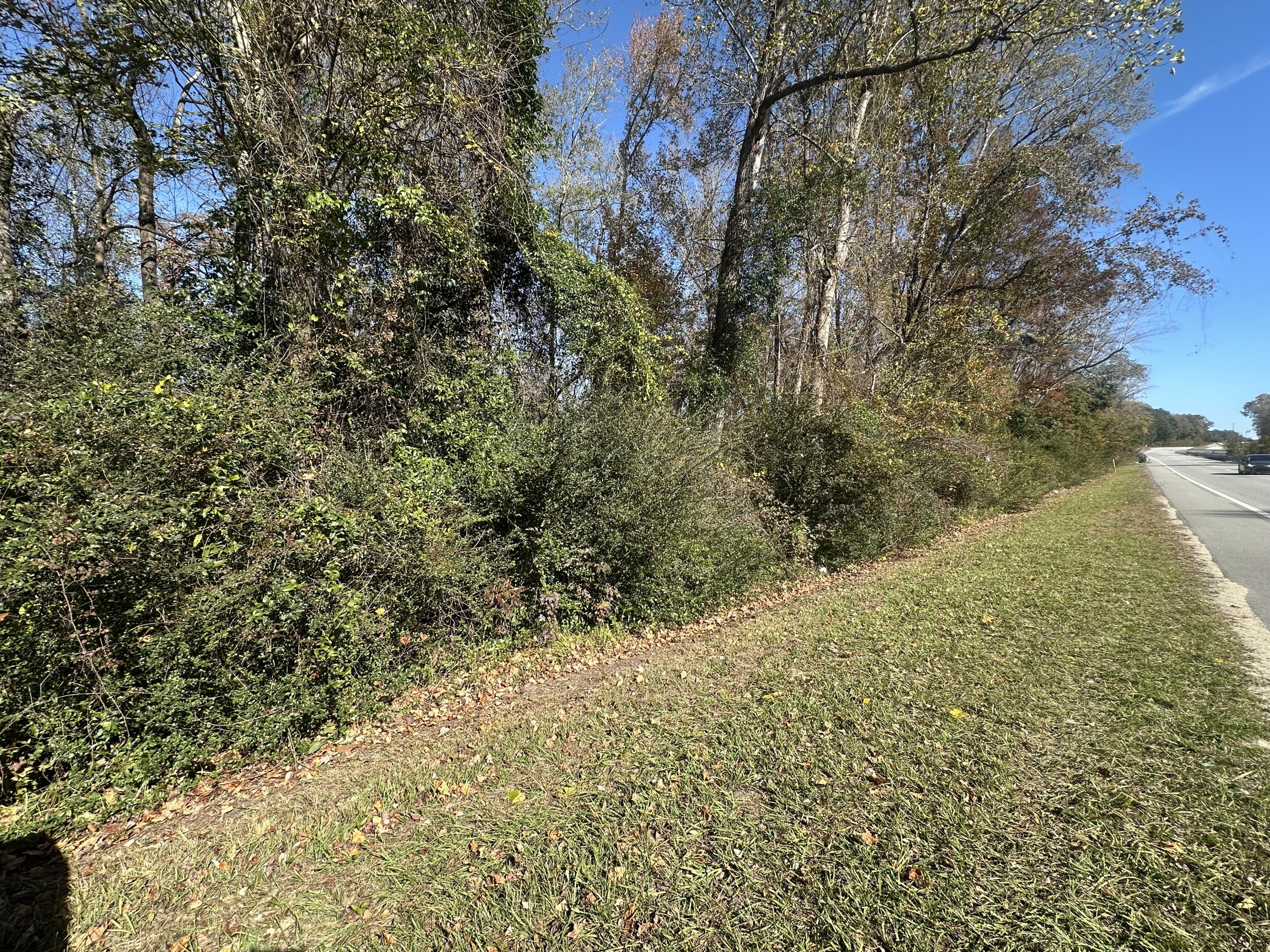 0 Five Five Chop Road Cameron, SC 29030 - Photo 5 of 6 IMG_8080