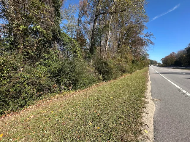 $49,500 | 0 Five Five Chop Road, Cameron, SC 29030