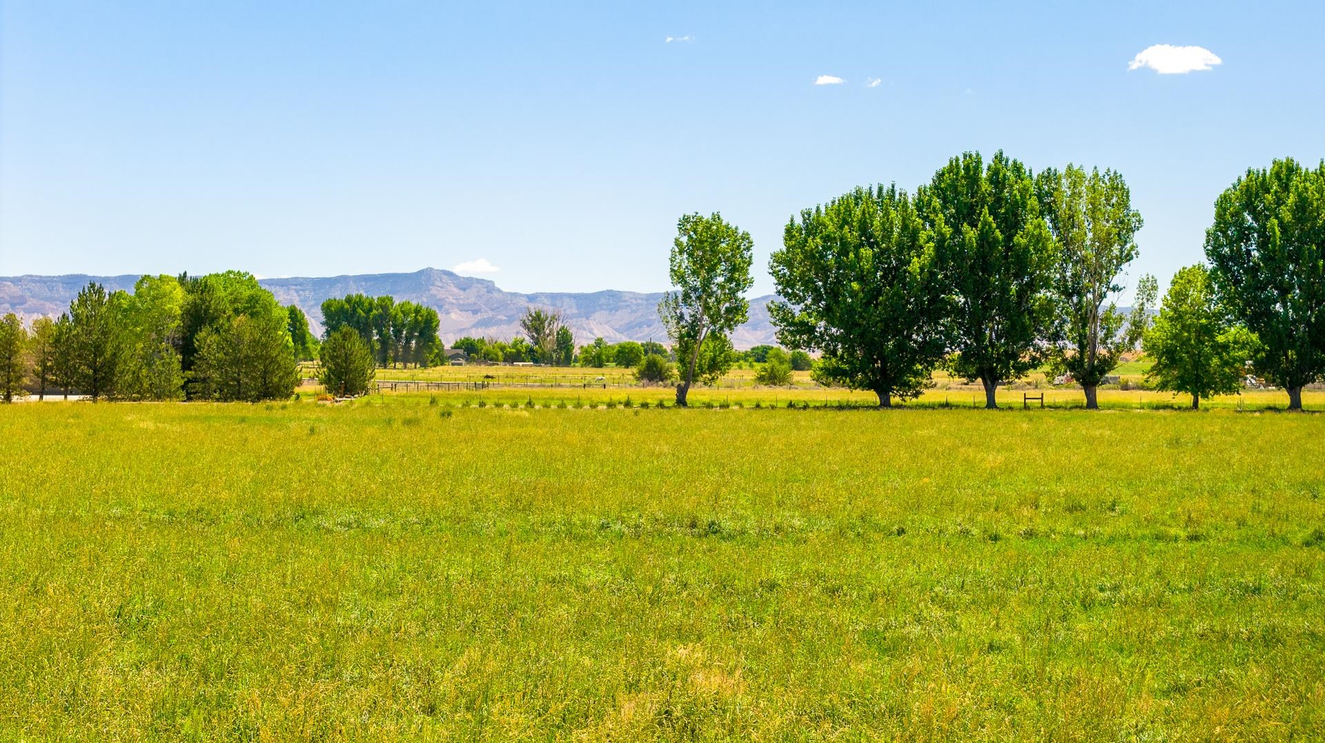 1435 17 3/4 Road Fruita, CO 81521 - Photo 8 of 13
