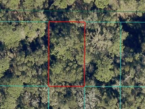 Southwest 29th Street Ocala, FL 34481 - Photo 2 of 3