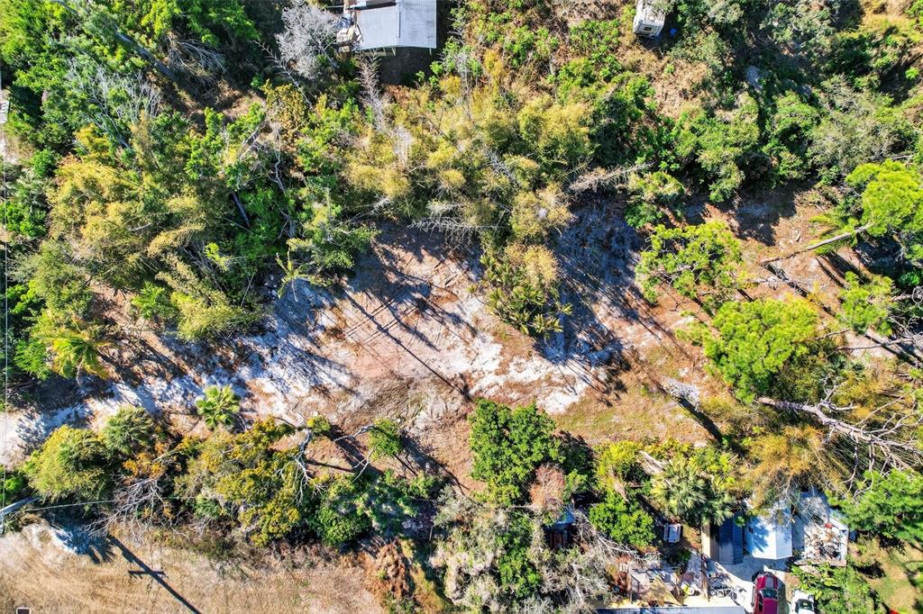 14 Old Venice Road Osprey, FL 34229 - Photo 5 of 20 a picture of flowers