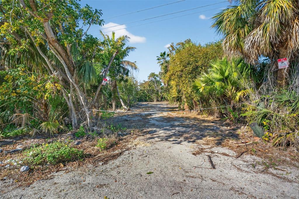 14 Old Venice Road Osprey, FL 34229 - Photo 8 of 20 a view of backyard with outdoor space