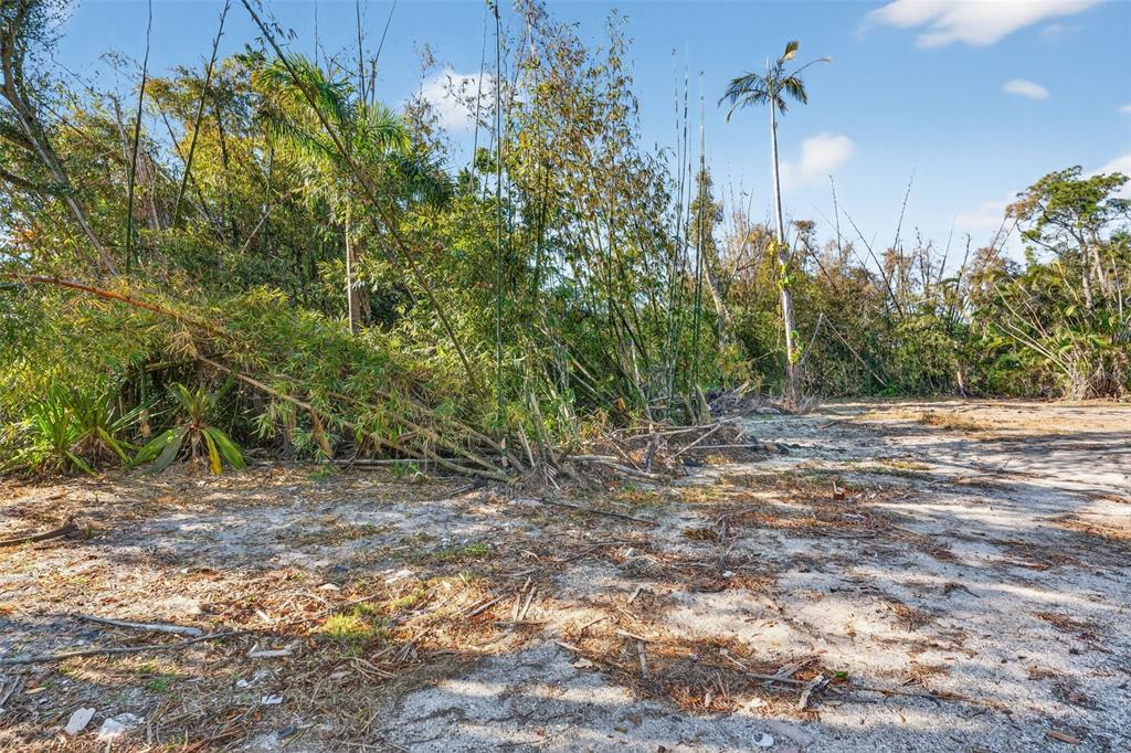 14 Old Venice Road Osprey, FL 34229 - Photo 9 of 20 a view of a yard with a tree