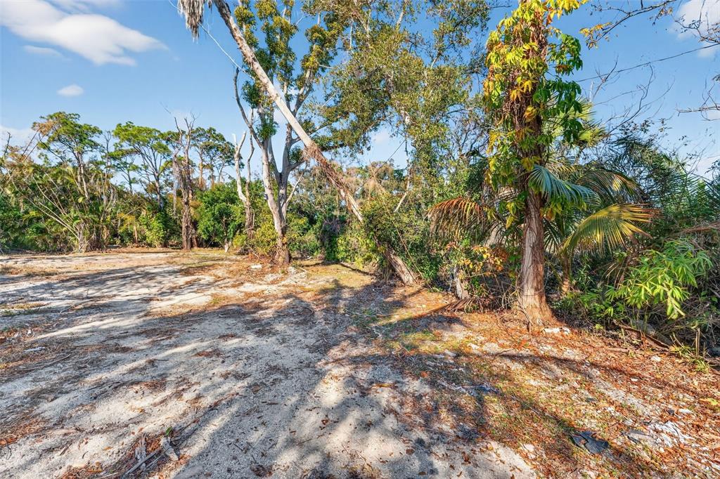 14 Old Venice Road Osprey, FL 34229 - Photo 10 of 20 a view of dirt field with trees in the background
