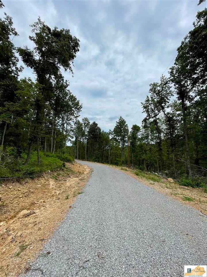 Lot 15 Ranchero Road Clarkson, KY 42726 - Photo 4 of 10 Gallery Image 4