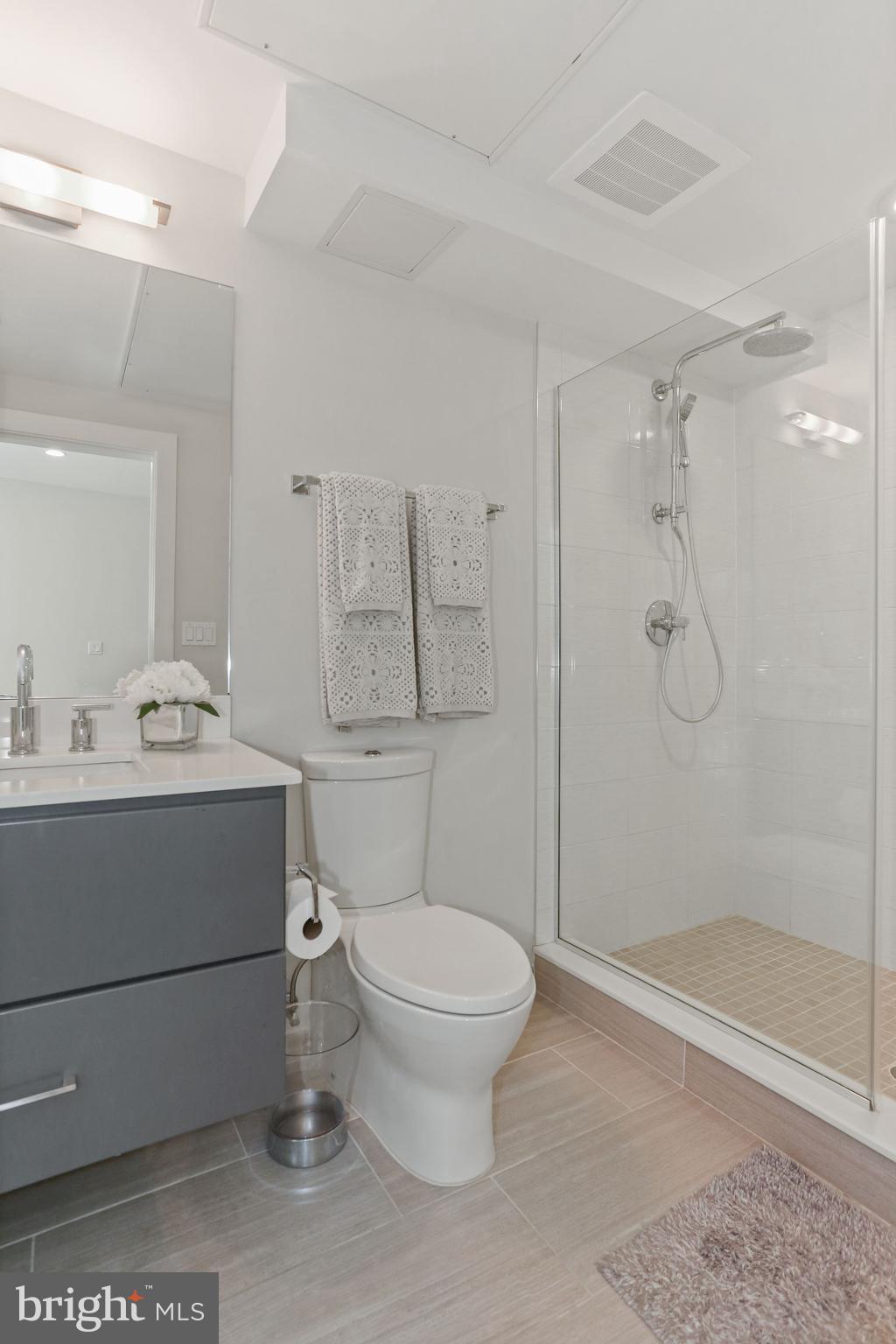 2337 Champlain Street Northwest, Unit 104 Washington, DC 20009 - Photo 30 of 80 Bathrm - Modern Vanity, Floors, Lighting, Hardware