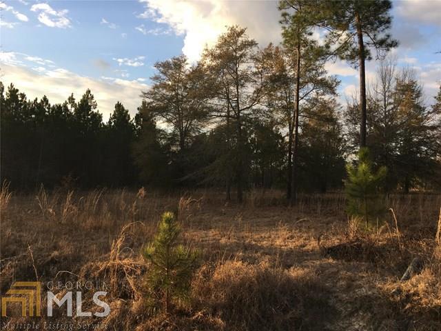 0 Magnolia Heights Road McRae-Helena, GA 31055 - Photo 1 of 1 Gallery Image 1