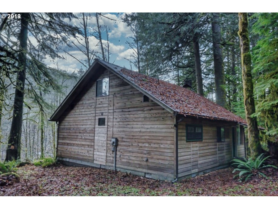 26105 East Henry Creek Road, Unit 21 Rhododendron, OR 97049 - Photo 29 of 32 Gallery Image 29
