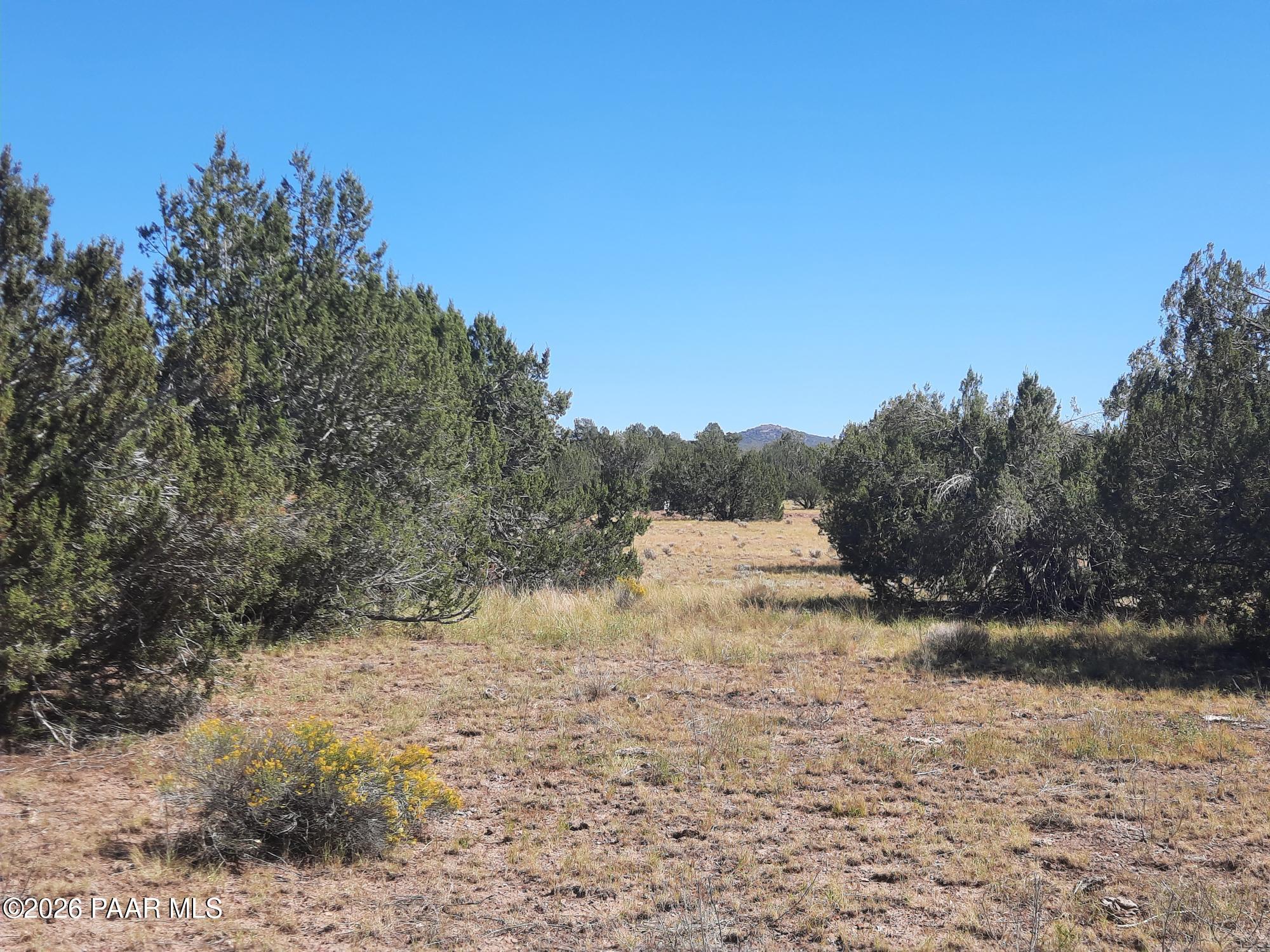 Lot 1371 Last Chance Road Seligman, AZ 86337 - Photo 18 of 20 20261001_113813