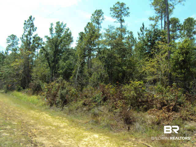 4 Old Ganey Road Bay Minette, AL 36507 - Photo 1 of 1