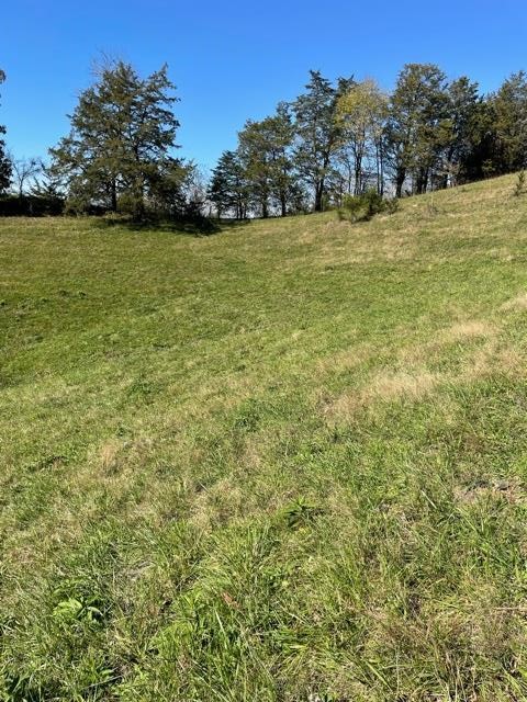 0 McCarter Hollow Road Sevierville, TN 37862 - Photo 9 of 17