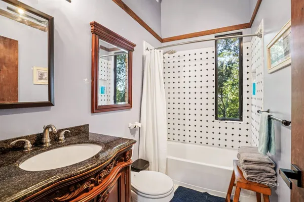 a bathroom with a sink a toilet a mirror a vanity and shower