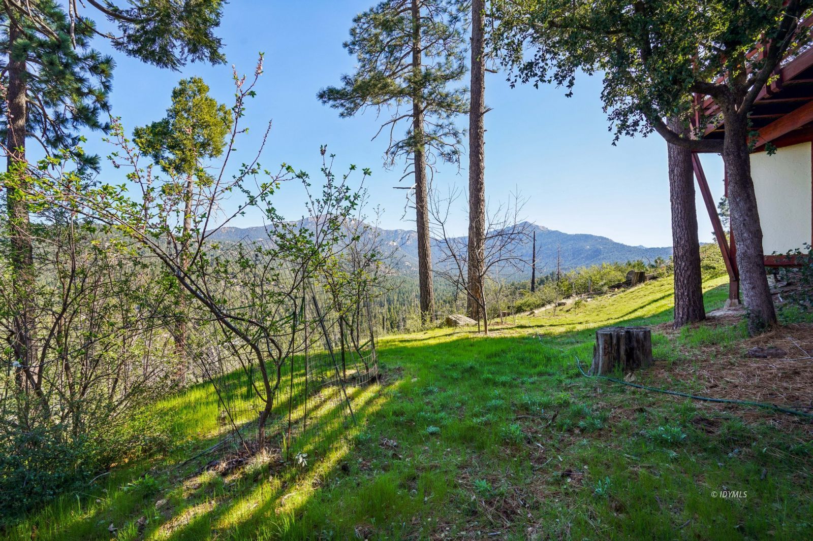 52440 Double View Drive Idyllwild, CA 92549 - Photo 32 of 37 Back yard