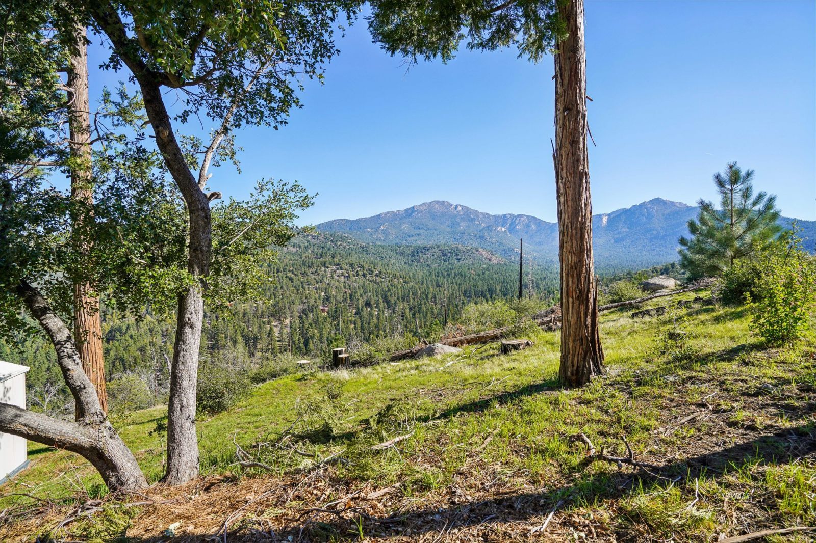 52440 Double View Drive Idyllwild, CA 92549 - Photo 33 of 37 Side yard view