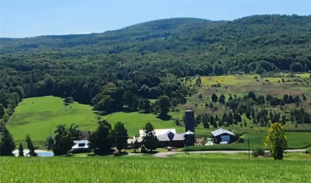 $125,000 | 1.11 North Harpersfield Road, Jefferson, NY 12093