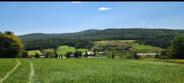 $125,000 | 1.11 North Harpersfield Road, Jefferson, NY 12093