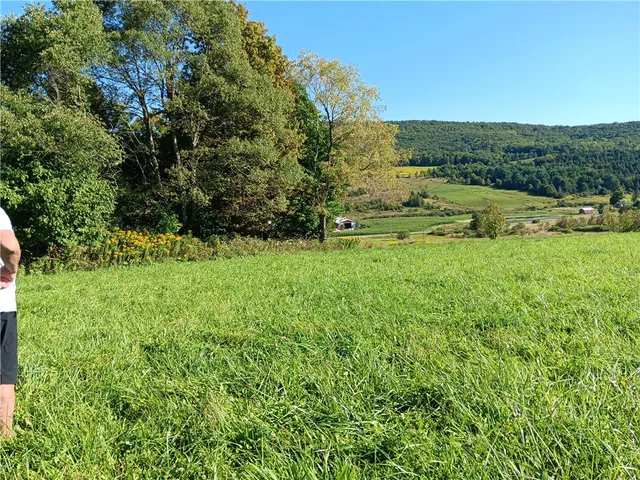 $125,000 | 1.11 North Harpersfield Road, Jefferson, NY 12093