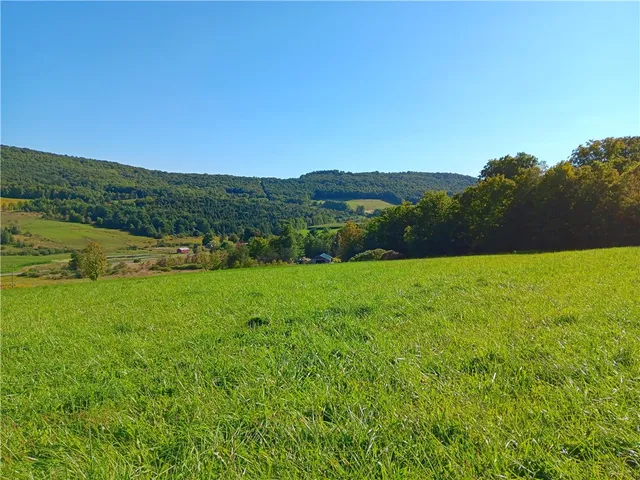 $125,000 | 1.11 North Harpersfield Road, Jefferson, NY 12093