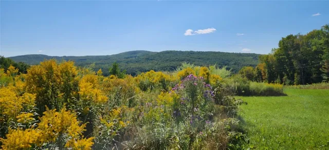 $125,000 | 1.11 North Harpersfield Road, Jefferson, NY 12093