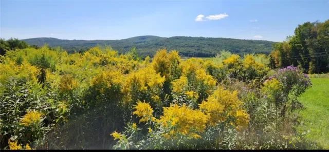 $125,000 | 1.11 North Harpersfield Road, Jefferson, NY 12093