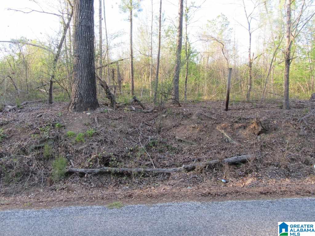 0 Cedar Springs Road, Unit 1 Talladega, AL 35160 - Photo 8 of 8