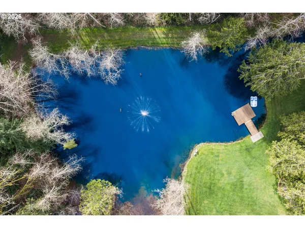 view of a lake with lawn chairs and large trees