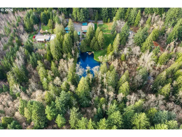 a backyard of a house with table and chairs plants and large tree