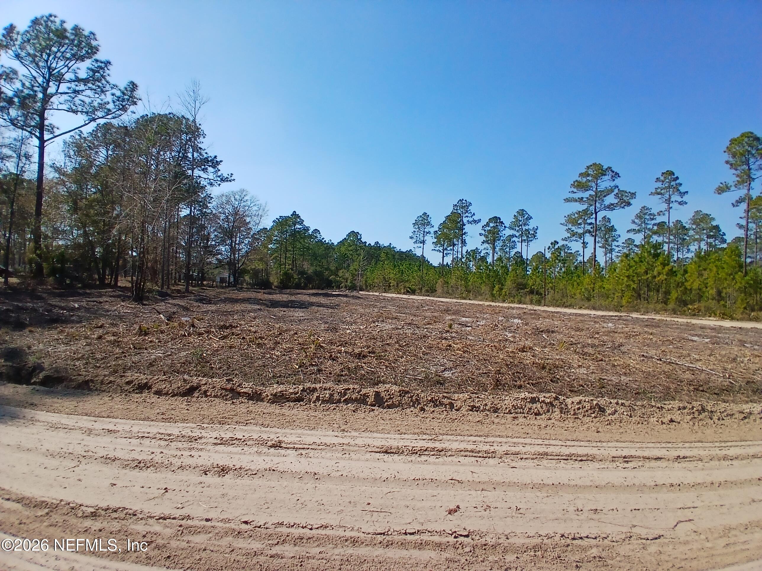 24454 Tuggle Road Hilliard, FL 32046 - Photo 1 of 11 a view of a yard