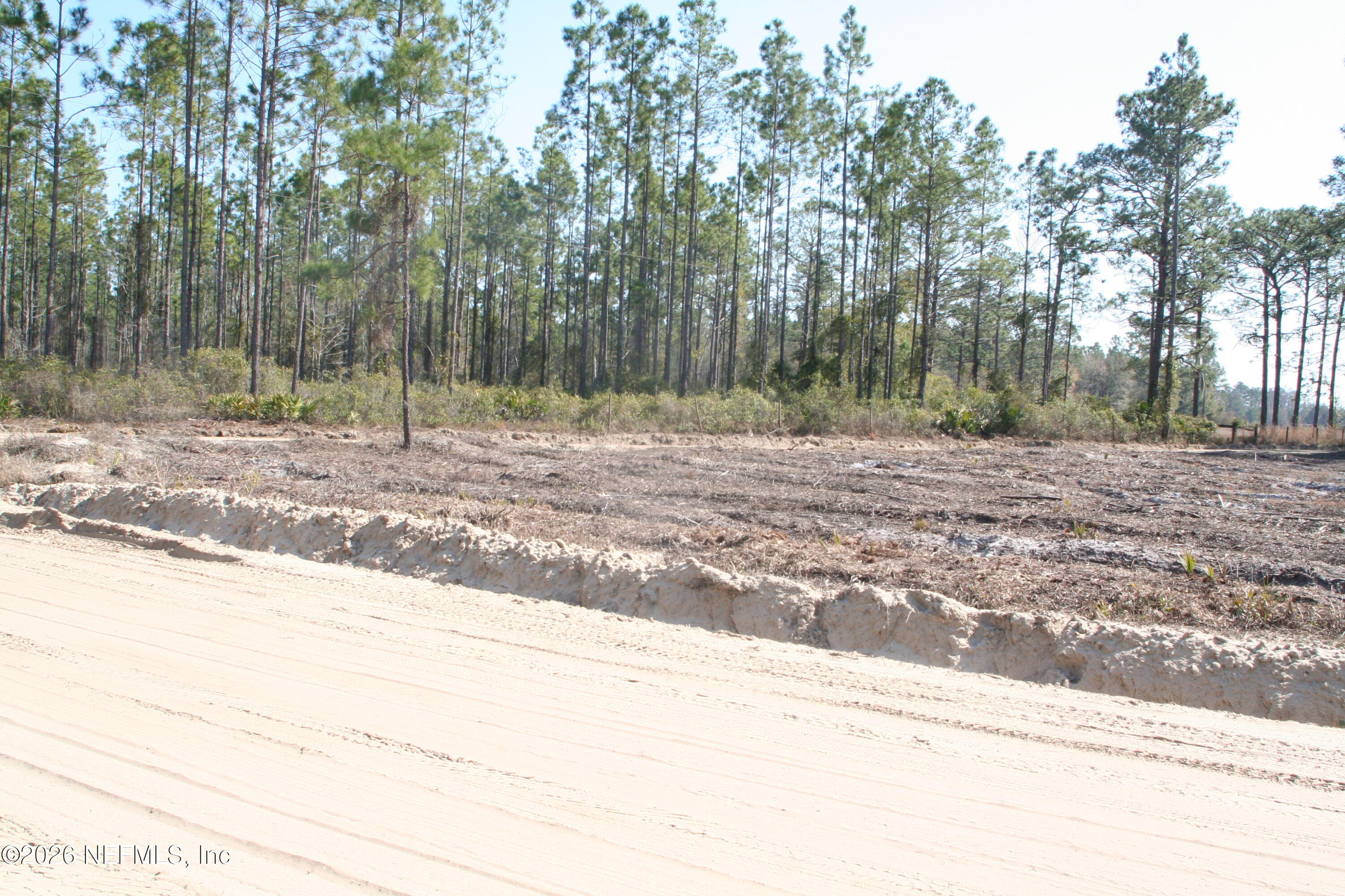 24454 Tuggle Road Hilliard, FL 32046 - Photo 11 of 11 a view of a backyard of a house