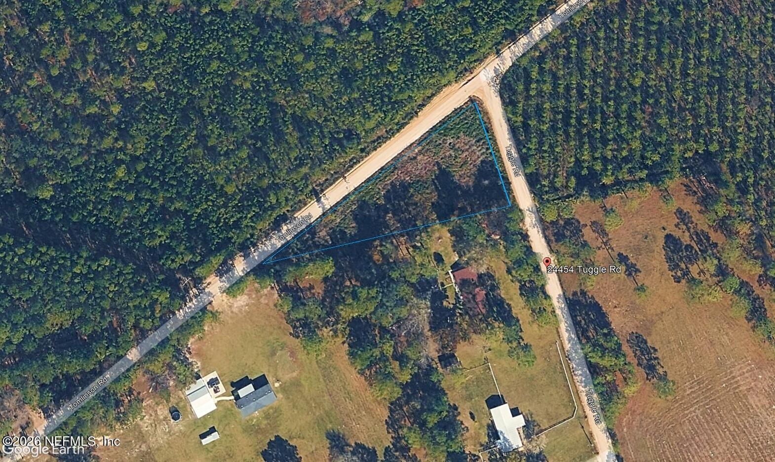 24454 Tuggle Road Hilliard, FL 32046 - Photo 4 of 11 a view of swimming pool with a backyard