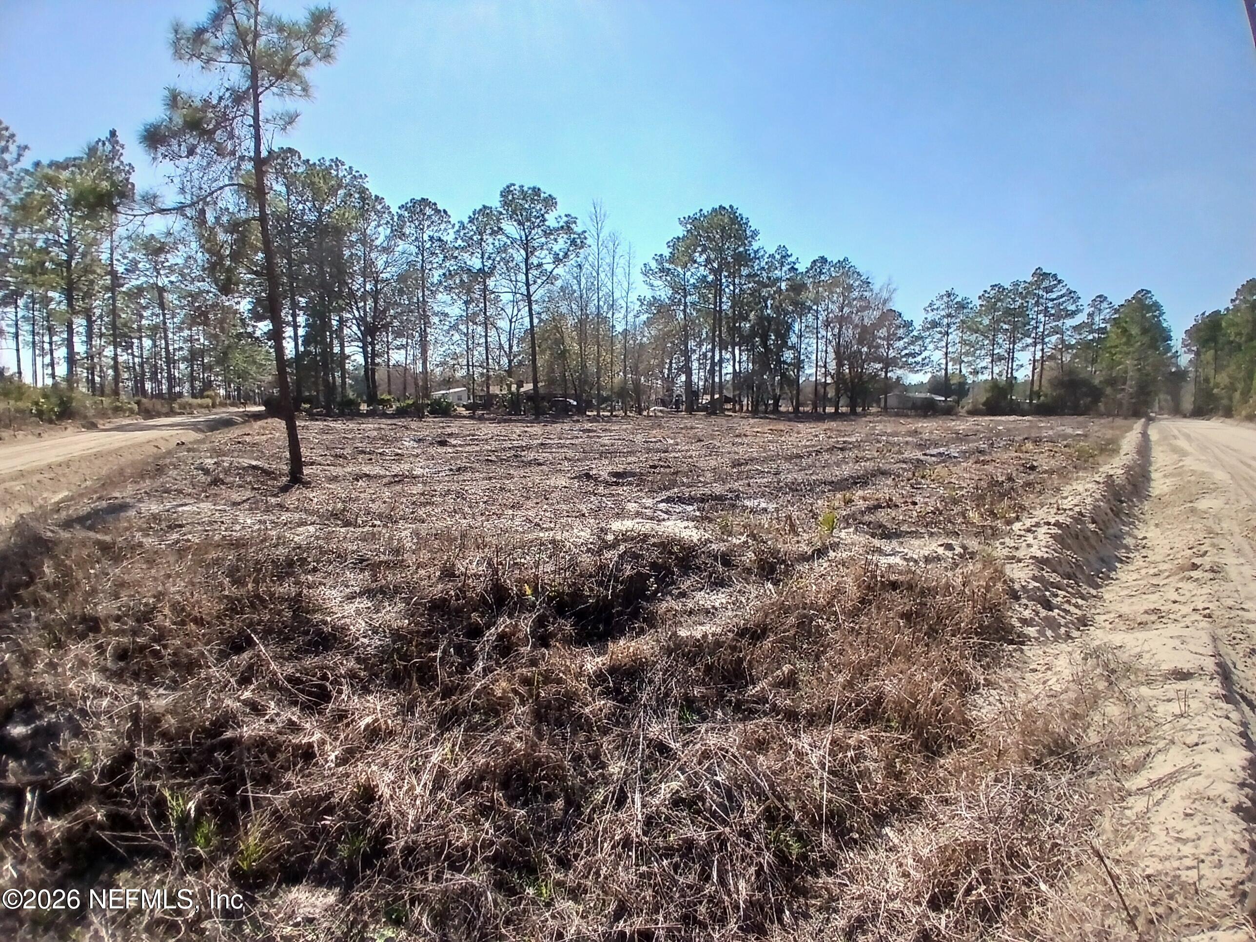 24454 Tuggle Road Hilliard, FL 32046 - Photo 7 of 11 a view of a outdoor space with trees