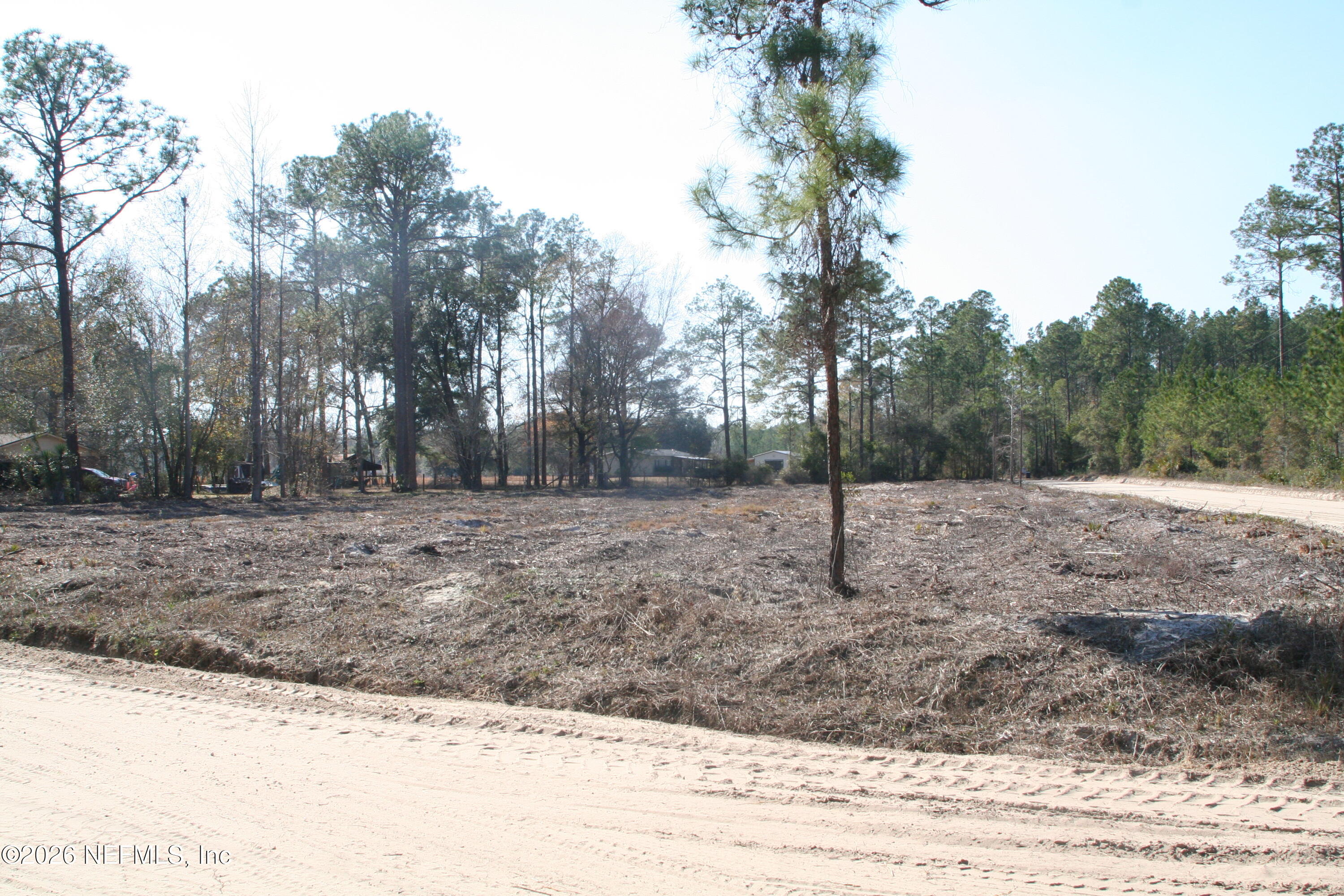 24454 Tuggle Road Hilliard, FL 32046 - Photo 8 of 11 a view of a backyard