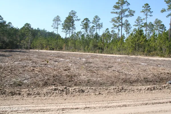 a view of empty field with trees