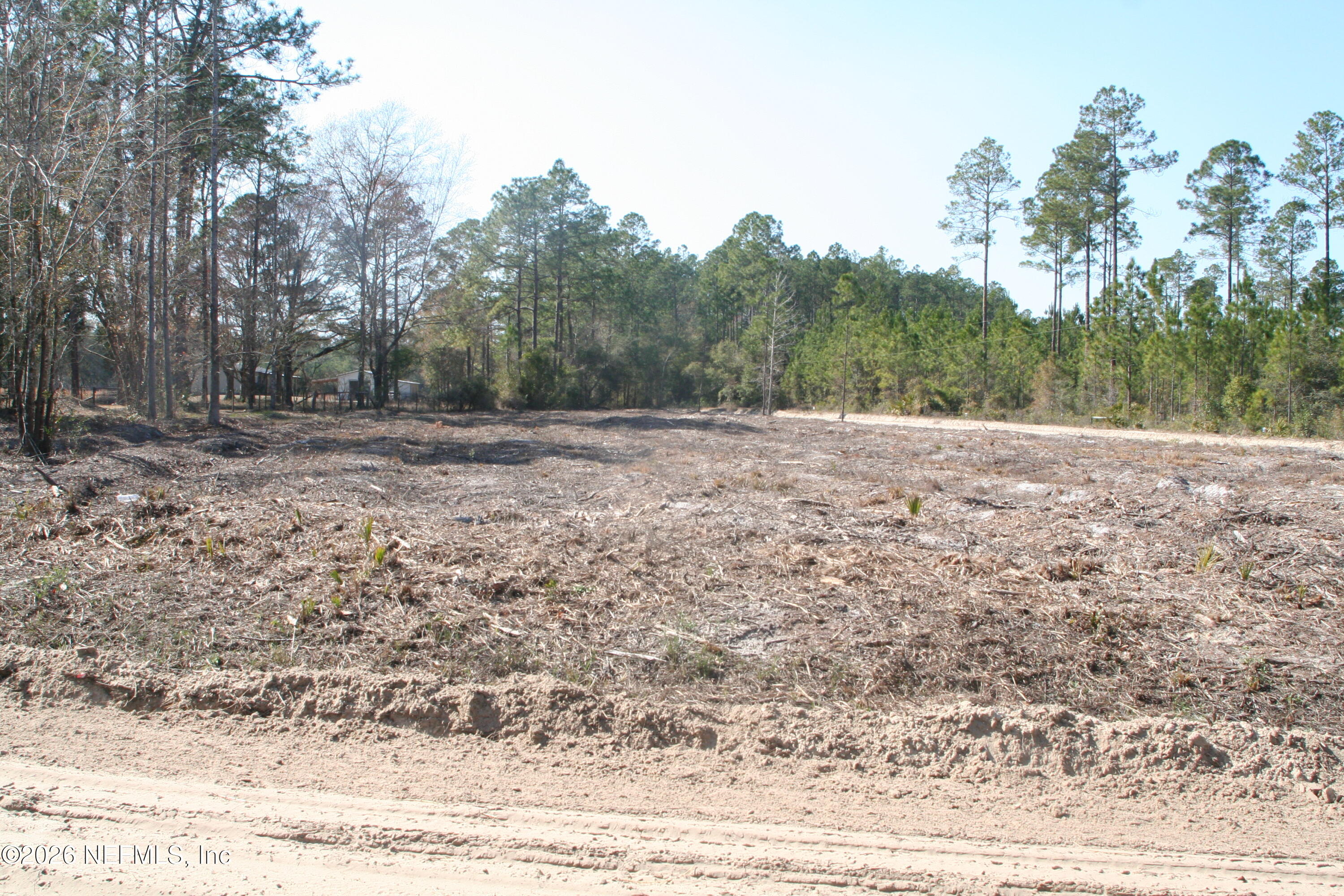 24454 Tuggle Road Hilliard, FL 32046 - Photo 10 of 11 a view of empty field with trees