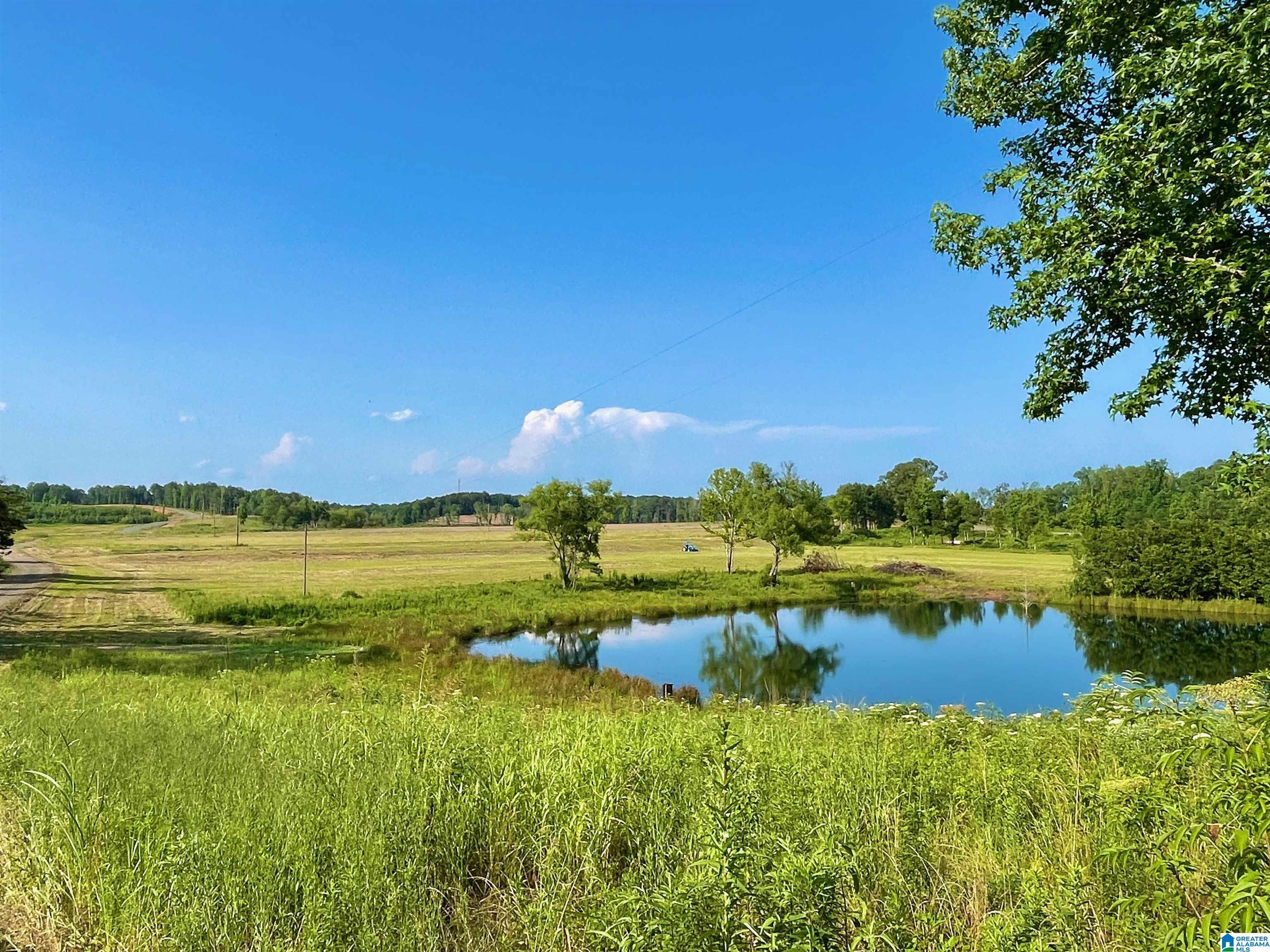 0 Burton Road, Unit 16 Shelby, AL 35143 - Photo 11 of 16