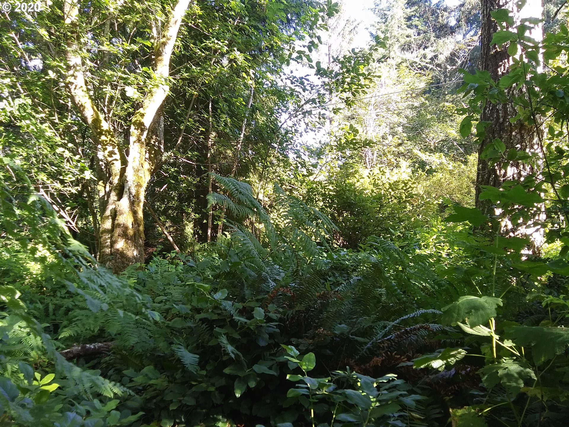 0 Clear Lake Road, Unit 500 Florence, OR 97439 - Photo 11 of 11 Gallery Image 11