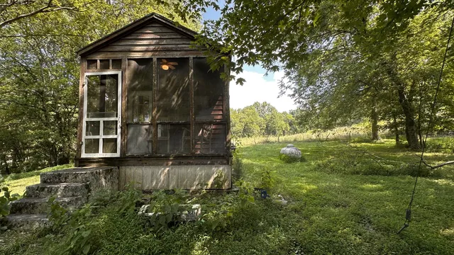 a view of a backyard with large trees