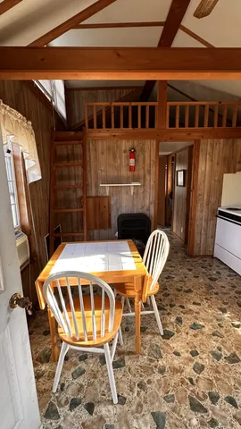 a view of a backyard with potted plants and large tree