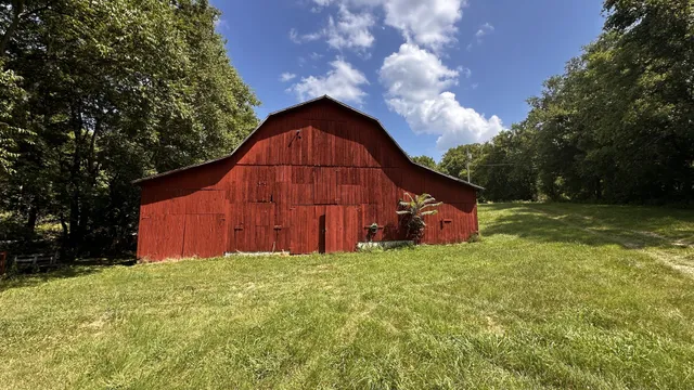 a view of backyard with green space