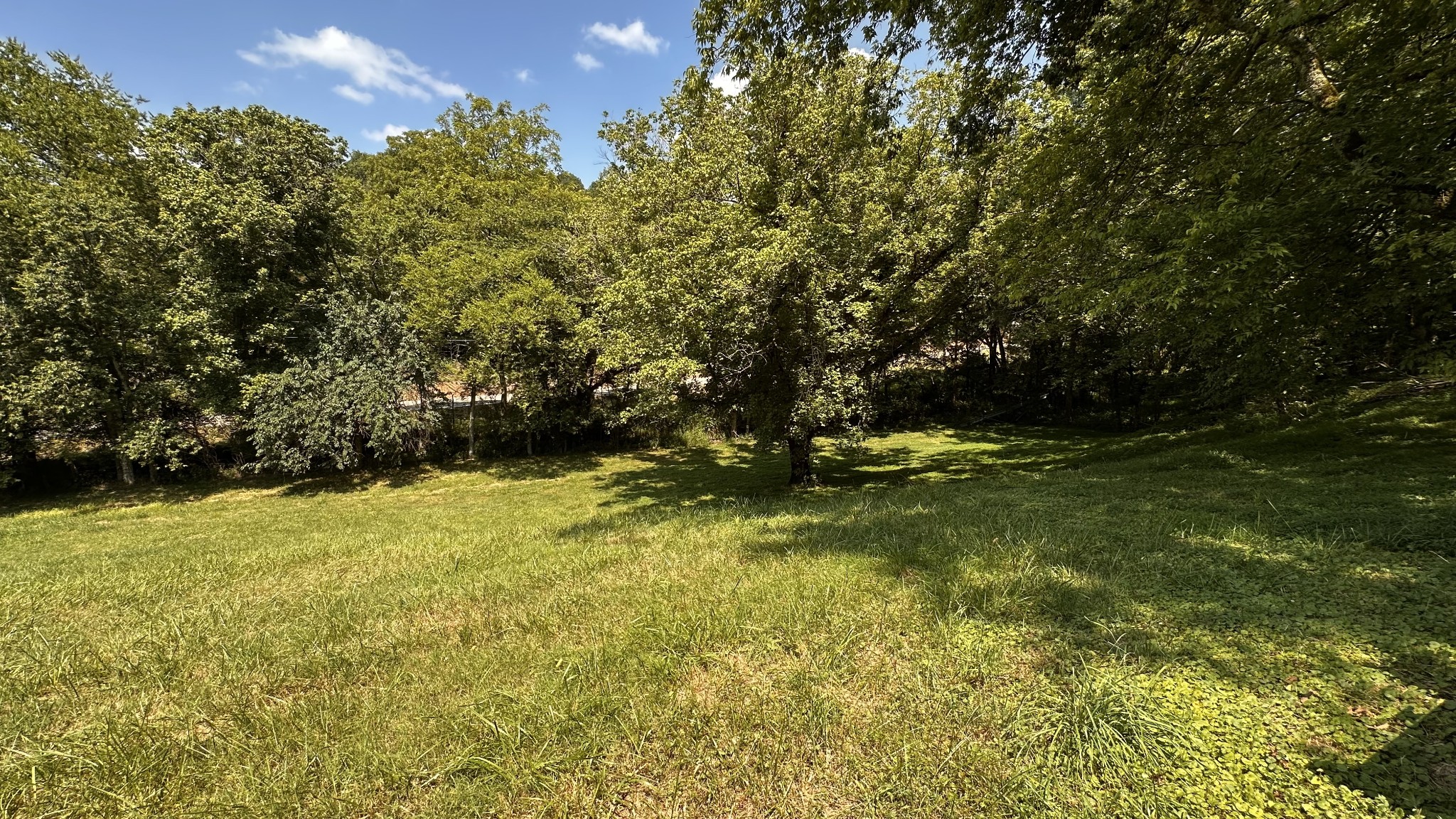 911 Petersburg-Chestnut Ridge Road Petersburg, TN 37144 - Photo 22 of 57 a view of outdoor space and yard