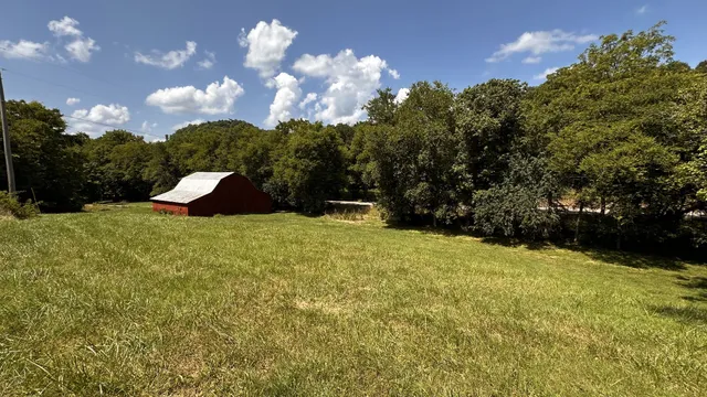 a view of a lush green forest with trees and some houses