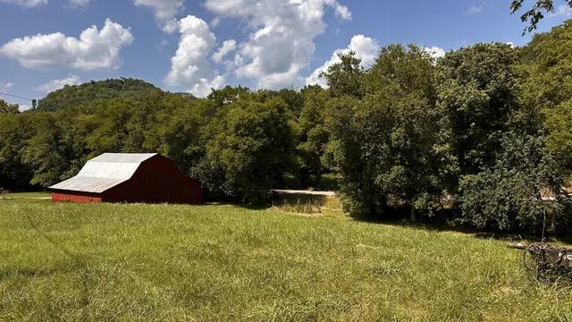 a yard with trees in the background