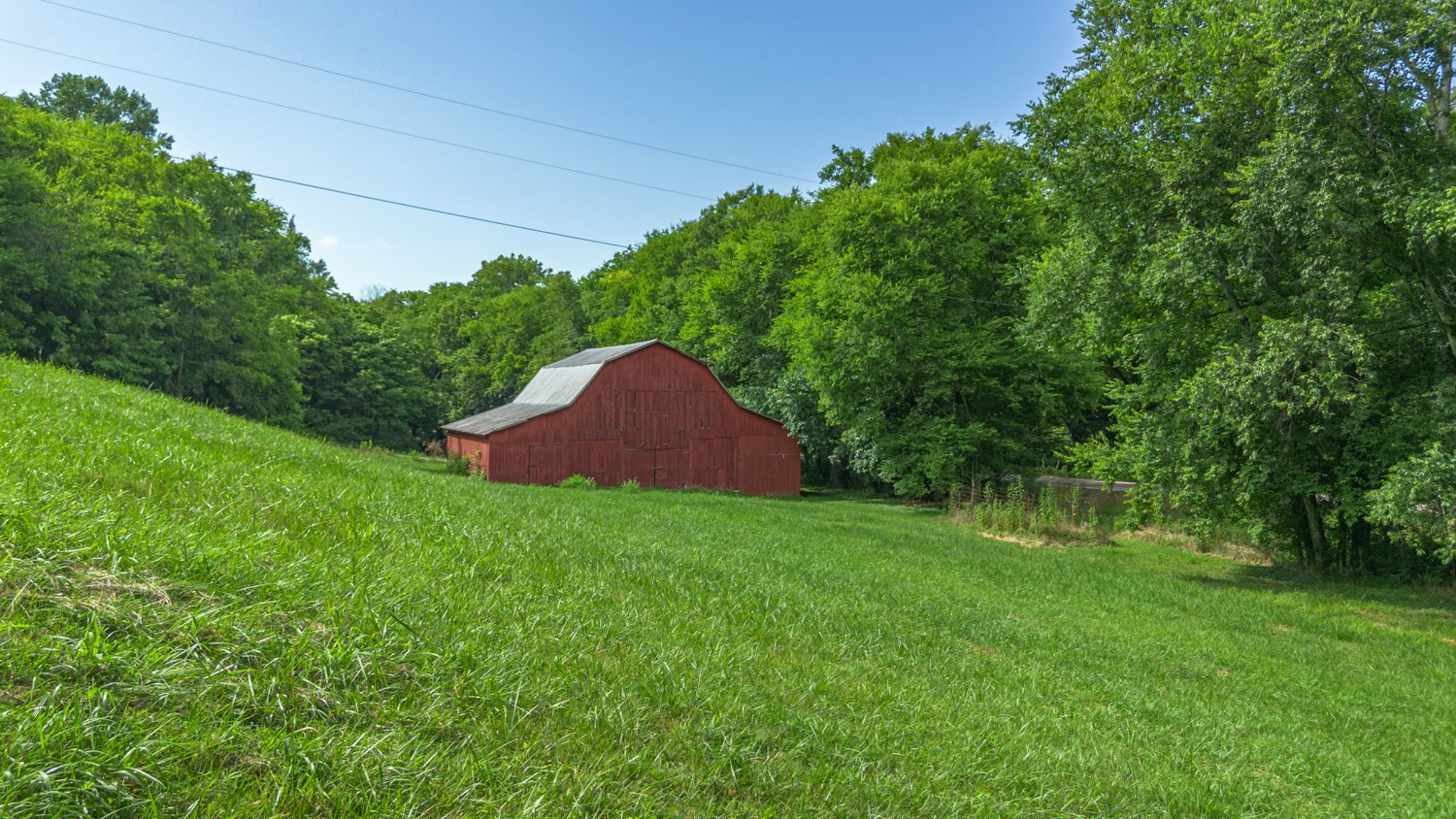 911 Petersburg-Chestnut Ridge Road Petersburg, TN 37144 - Photo 29 of 57 a view of a backyard