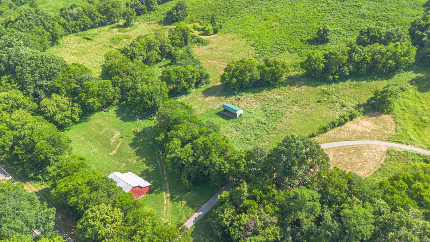 911 Petersburg-Chestnut Ridge Road Petersburg, TN 37144 - Photo 34 of 57 a view of a garden with a flower plants
