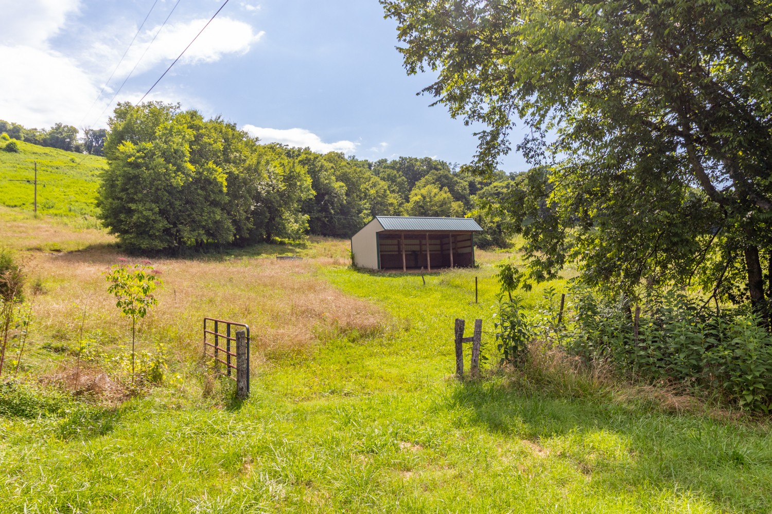 911 Petersburg-Chestnut Ridge Road Petersburg, TN 37144 - Photo 38 of 57