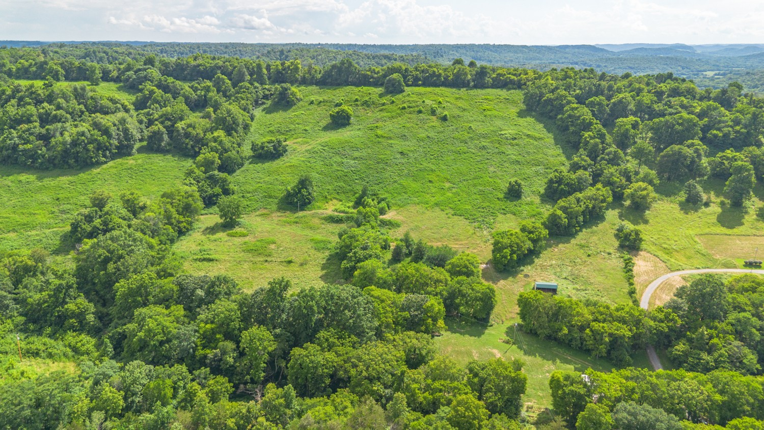 911 Petersburg-Chestnut Ridge Road Petersburg, TN 37144 - Photo 41 of 57 a view of a lush green forest with trees and some houses