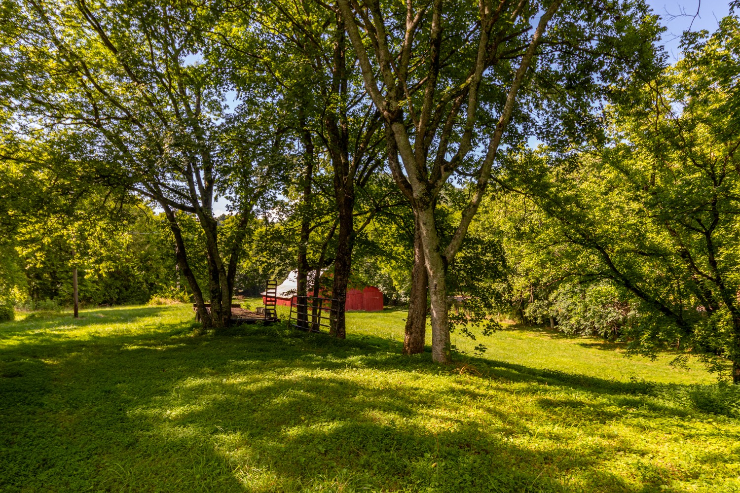 911 Petersburg-Chestnut Ridge Road Petersburg, TN 37144 - Photo 45 of 57 a view of yard with swimming pool and trees