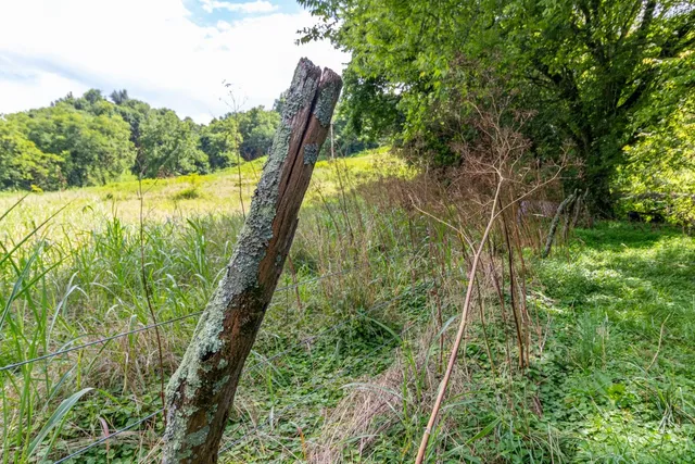 $749,000 | 911 Petersburg-Chestnut Ridge Road, Petersburg, TN 37144