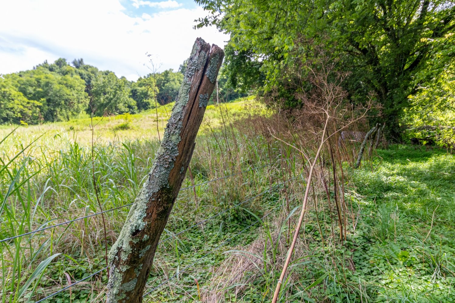 911 Petersburg-Chestnut Ridge Road Petersburg, TN 37144 - Photo 47 of 57